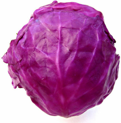 Mozette Hybrid Cabbage Red Seed(65 per packet)