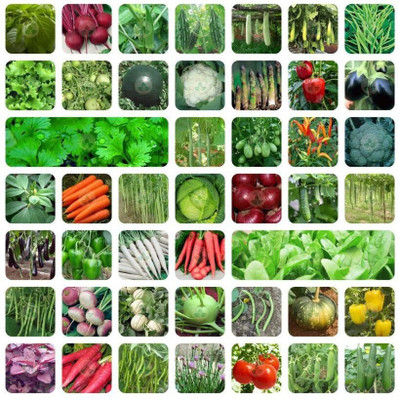 Greenery Hub 45 Vegetable Seeds Combo For Home Gardening Seed(30 per packet)
