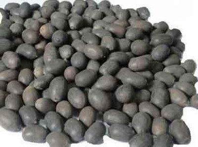 MARMORIS ECOM Kamal Gatta, Lotus Seed Seed(11 per packet)