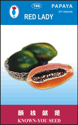 the green dotcom red lady papaya Seed(25 per packet)