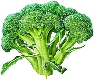 AMAJIT Green Broccoli Home Planting Seeds Seed(90 per packet)