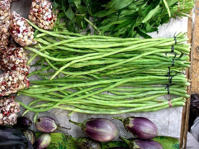 GREENSEA Long Bean/Barbati Seeds for Planting, High Yield Seed(55 per packet)