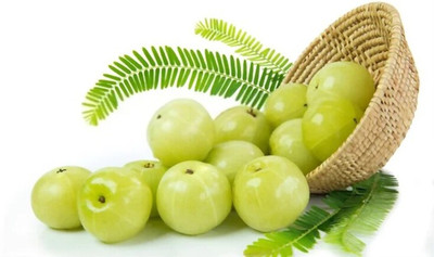 GREENSEA Amla, Gooseberry, Amloki Seed(34 per packet)