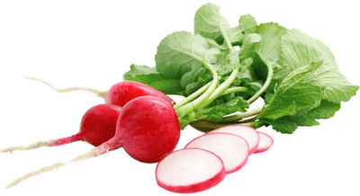 Cloud Farm Hybrid Radish Globe Seed(1100 per packet)