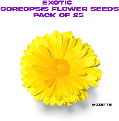 XOLDA Exotic coreopsis flower seeds Seed(25 per packet)