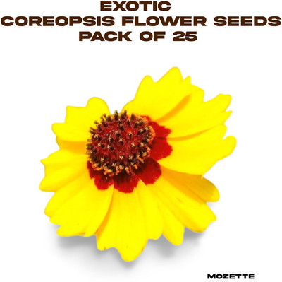 Mozette Exotic coreopsis flower seeds Seed(25 per packet)
