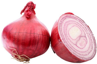 the green dotcom Organic Red Onion Seed(60 per packet)