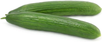 Qualtivate PUA-6A Cucumber Chinese Long for Salads Seed(300 per packet)