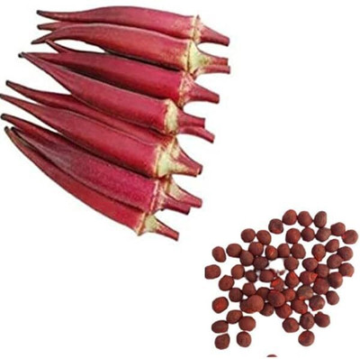 Pbevergreen Red okra seeds/ladies finger seeds 69 Seed(69 per packet)
