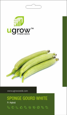 GARDENIFY INDIA PURE ELEGANCE: WHITE SPONGE GOURD DELIGHT Seed(30 per packet)