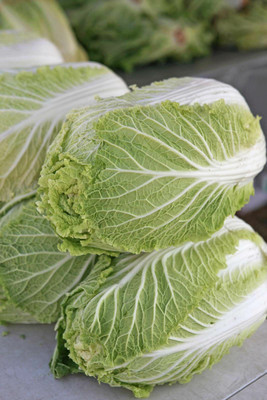 Mozette Organic Chines cabbage Seed(26 per packet)