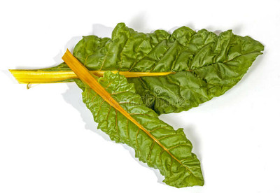 Mozette Hybrid swiss chard yellow Seed(60 per packet)