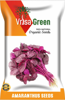 Vrisa Green AMARANTHUS Seed(20 per packet)
