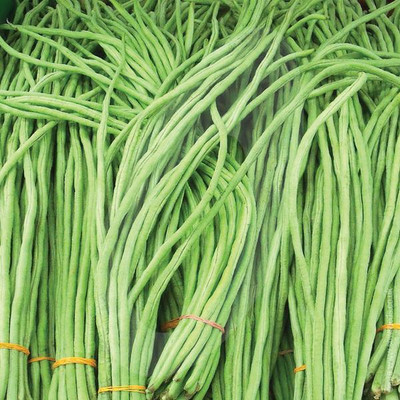 GREENSEA Yard long Bean/Barbati Seeds for Planting, High Yield Seed(155 per packet)