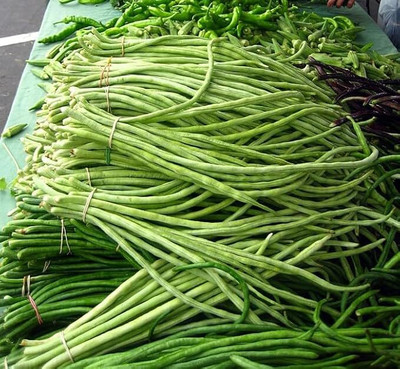 GREENSEA Long Bean/Barbati Seeds for Planting, High Yield Seed(80 per packet)