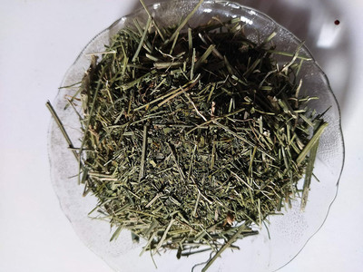 BrijBooti Birju Mahavir Kalmegh - Hara Chirayata - Bitterstick - 100 gm Seed(100 per packet)