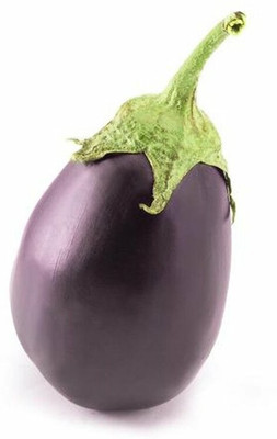 Oliver F1 quality hybrid brinjal seeds Seed(127 per packet)