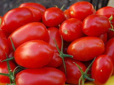 KANAYA Italian Red Cherry Tomato Vegetable Seed(800 per packet)