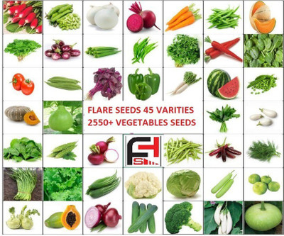 FLARE SEEDS 50 DIFFERENT VEGETABLES AND FRUIT SEEDS PREMIUM COMBO PACK Seed 2010 per packet Seed(50 per packet)