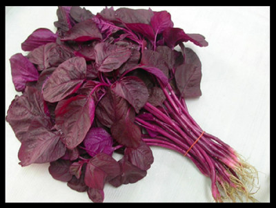 Paudha Red Amaranthus Vegetable Seed(20 per packet)