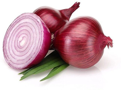 Biosnyg Organic Onion Pusa Red Seeds for Terrace Gardening-(3000 Seeds) Seed(3000 per packet)
