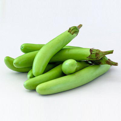 XOLDA Brinjal Green long Seed(33 per packet)