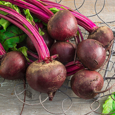Arshiayat F1 Hybrid Red Express Beetroot-Chukundar Seed(2000 per packet)