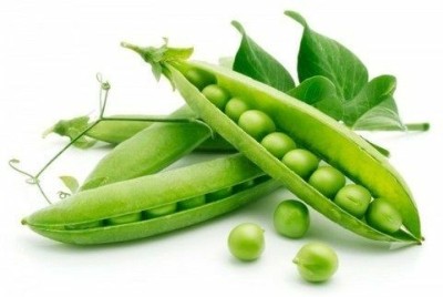 XOLDA Organic Green peas (mutter) Seed(51 per packet)