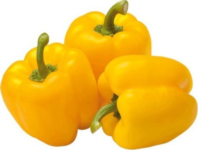 agri max gardens hybrid seeds Yellow Capsicum seeds for home gardening Seed (50 per packet) Seed(50 per packet)