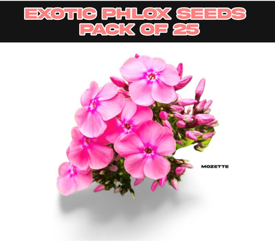 XOLDA Exotic philox seeds Seed(25 per packet)