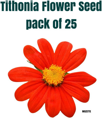 Mozette Exotic Tithonia Seed Seed(25 per packet)