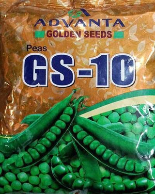the green dotcom f1 hybrid upl advanta gs 10 pea Seed(60 per packet)