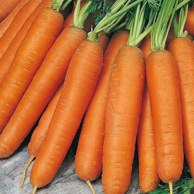 LIFELEX Carrot seeds, Gajar Ka Seed(43 per packet)