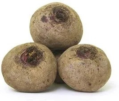 XOLDA Beetroot Seed(46 per packet)
