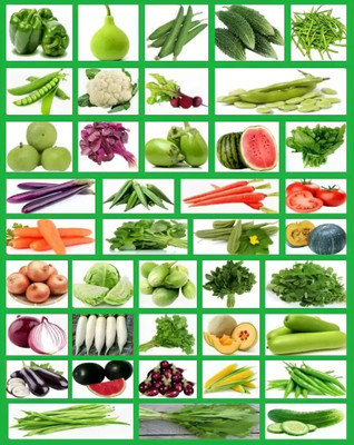 SUAA 40 Varieties of Combo Vegetables Seeds For Home Garden Seed(3100 per packet)