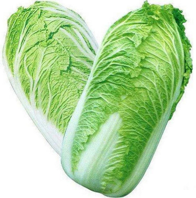 Cloud Farm Chinese cabbage Seed(50 per packet)
