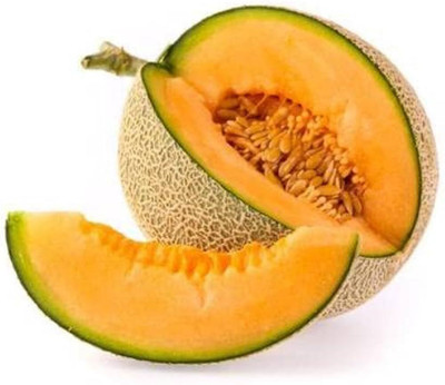 the green dotcom Muskmelon seeds for home gardening Pack of 42 Seed(42 per packet)