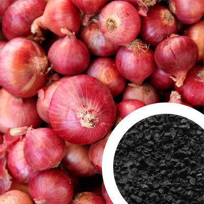 DivyaGarden Red onion seeds for terrace gardeing Seed(250 per packet)