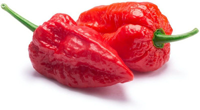 Avysa Chilli Seed(100 per packet)