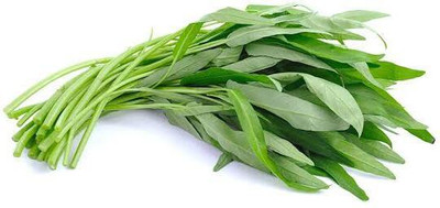 the green dotcom chinese spinach seeds Seed(450 per packet)
