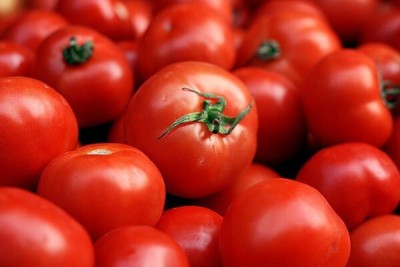 Farmers Choice Hybrid Tomato Seed(235 per packet)