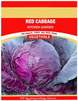 Cloud Farm Cabbage Seed(1000 per packet)