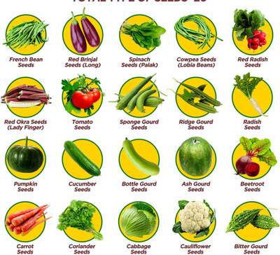 Greenery Hub 20-Vegetable Seeds Combo For Your Home Gardening Seed(25 per packet)