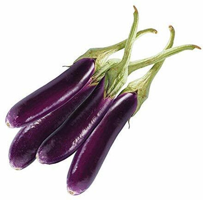 XOLDA Brinjal purple long Seed(37 per packet)