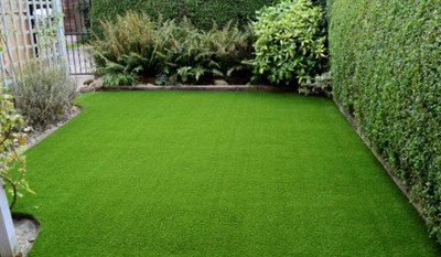 Pbevergreen mexican lawn grass seeds for garden/park/playground Seed(11 per packet)