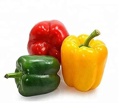 GREENSEA Capsicum/Shimla Mirch Seed(65 per packet)