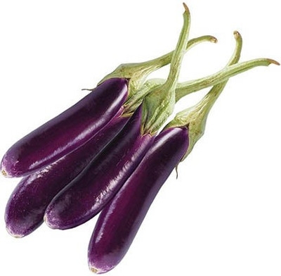 XOLDA Brinjal Long Seed(41 per packet)