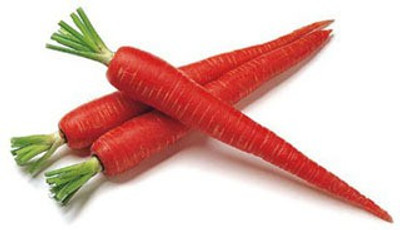 XOLDA Red carrot Seed(35 per packet)