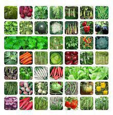 Cloud Farm Combo vegetable seeds, 20 vegetables combo Seed(30 per packet)