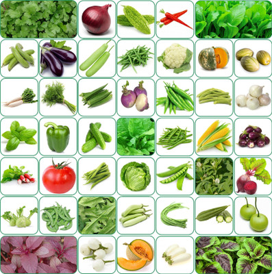 Aero Seeds 45 variety vegetable seeds combo pack with instruction manual. Seed(45 per packet)